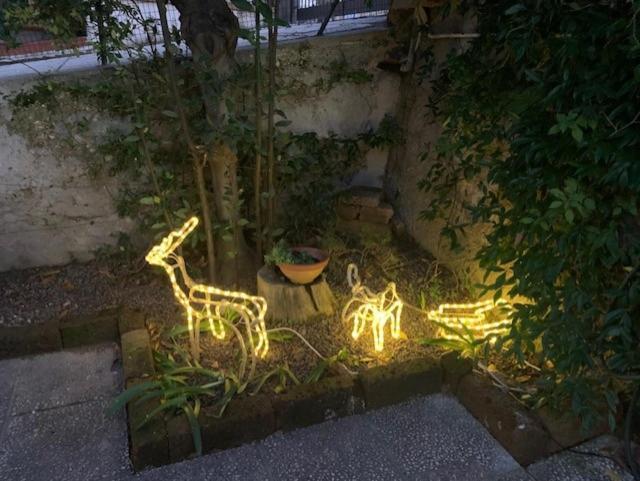Mery'S House Casa Vacanza ฟาโน ภายนอก รูปภาพ